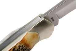 Böker Junior Scout 111910 Stag, Taschenmesser -Schnitt Pro Verkäufe BO111910 06 boker