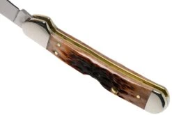 Case Mini Copperlock Brown Bone, Peach Seed Jig, 42655, 61749L Rostfrei, Taschenmesser 9 Case Mini Copperlock Brown Bone, Peach Seed Jig, 42655, 61749L Rostfrei, Taschenmesser -Schnitt Pro Verkäufe CE42655 04 case