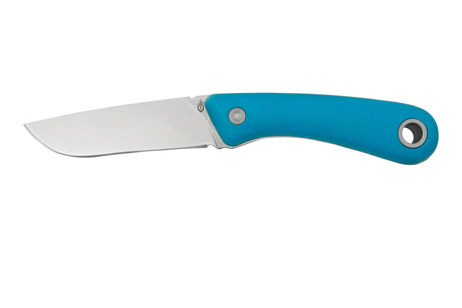 Gerber Spine Fixed Blade Cyan, 30-001498 1 Gerber Spine Fixed Blade Cyan, 30-001498