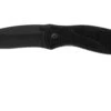 Kershaw 1670BLK Blur Black