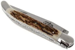 Forge De Laguiole 11cm Hirschhorn 1211INCFBRI -Schnitt Pro Verkäufe LA1211INCFBRI 03 forge de laguiole la1211incfbri 03