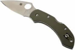 Spyderco Dragonfly G10 C28GPFG Taschenmesser, Foliage Grün