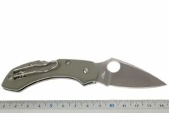 Spyderco Dragonfly G10 C28GPFG Taschenmesser, Foliage Grün 9 Spyderco Dragonfly G10 C28GPFG Taschenmesser, Foliage Grün -Schnitt Pro Verkäufe SPC28GPFG 05 spyderco dragonfly2 foliage green spc28gpfg d5